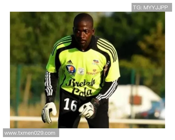 全球足球场上的黑人明星球员盘点与成就分析 全球足球场上的黑人明星球员盘点与成就分析