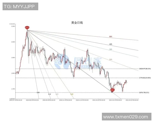 武汉乒乓球队的控制策略与发展现状深度解析